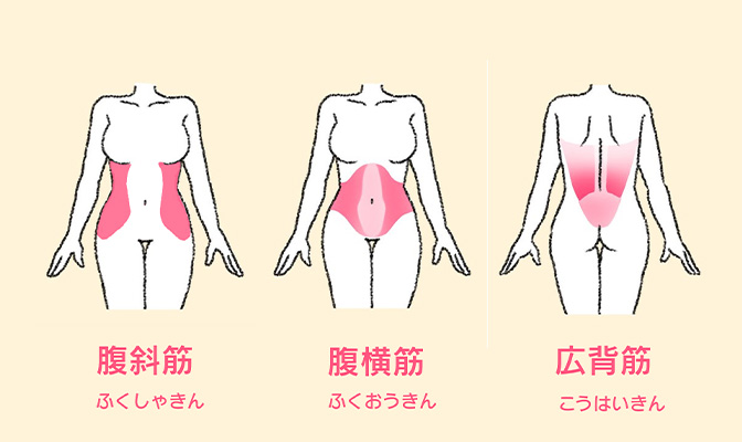 キュッと締まった“くびれ”が欲しい!360°引き締めるくびれトレーニング