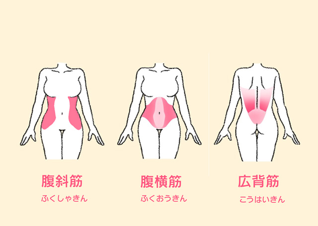 キュッと締まった くびれ が欲しい 360 引き締めるくびれトレーニング