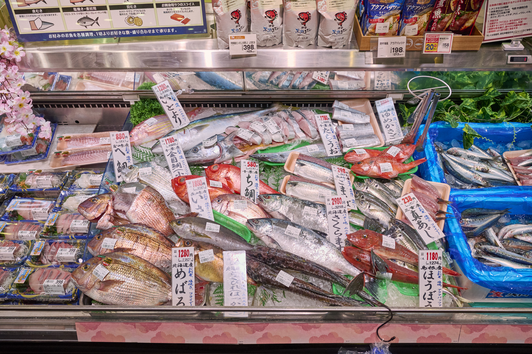 img_oshisupa_011-a-05