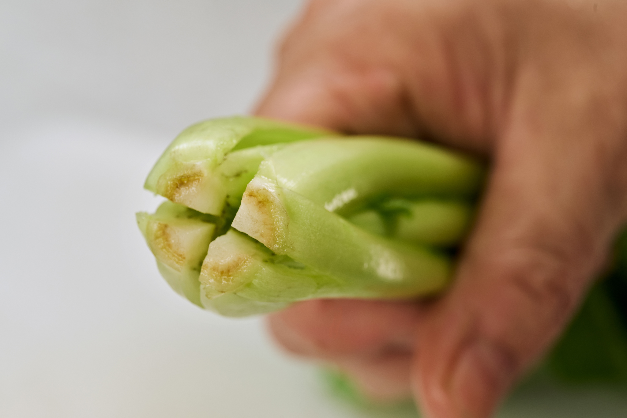 img_seasonalrecipe_ueda004-03