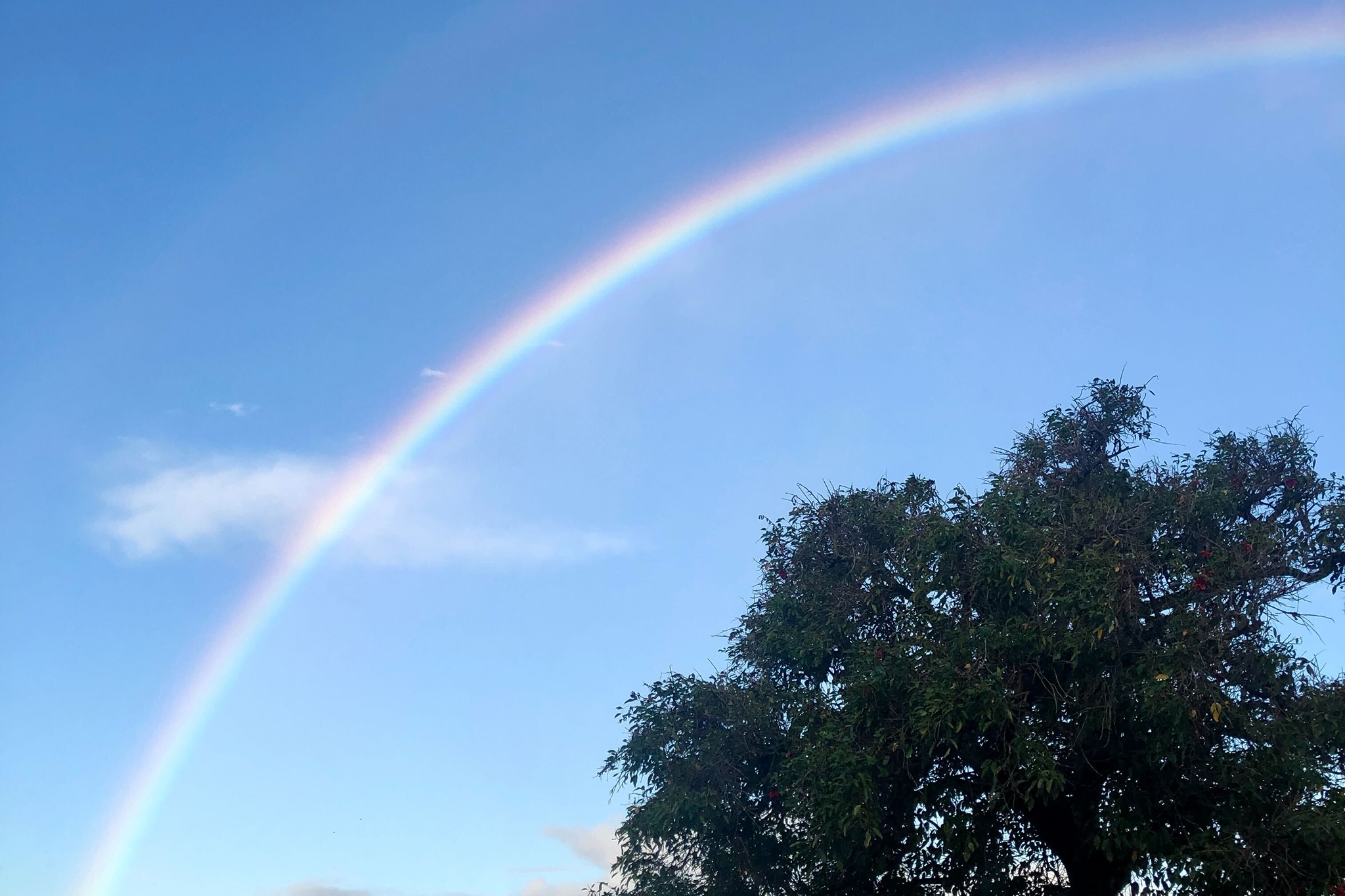17年前の夏、母になろうと思っていた私へ メインビジュアル